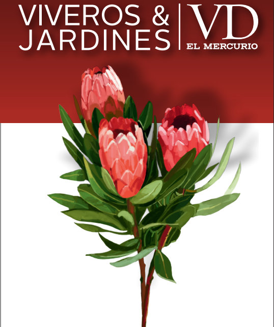 Viveros&Jardines 2024